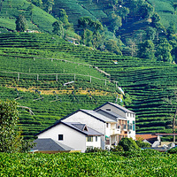 �������Ļ���ʶ�� | ��������