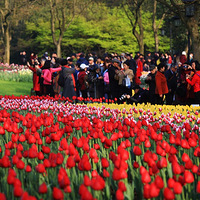 ���ֵ�̫����