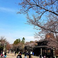 С�����һ��ȥ���ݴ�����԰��ɣ��羰��������