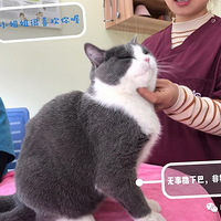 ۷()ǣ