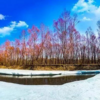 ���Ӻ��������Ǻ��ױ����Ĵ��죡