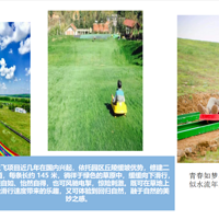 ��֮��̤��֮��