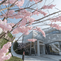 ��10ϯ�ʲ����ۣ���Ϫ����չ��ڼ�