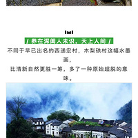 �����ؼ�|��4.5-6��ͽ��������ɽ�ŵ���Ѱ�������˼䡪��ľ��{