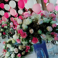 ���ݷ�����������ſ�ɶԻ���