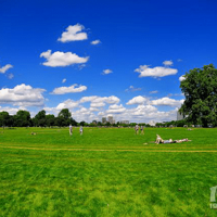 ���Z巸���һ����԰��������������������