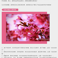 ����ͷ�̰֡����³����ͻ���һ��Ҫע�⻨�۹�����