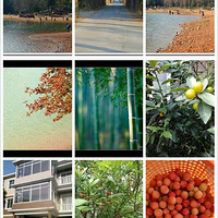 ������ũ��СԺ