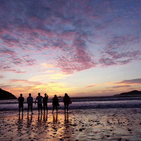 Լ�齻�����н���Ⱥ