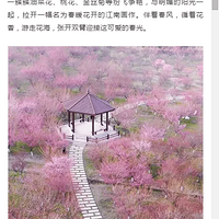 2019.03.29���������μ�2019�����е��߽�����ͽ���ͻ����