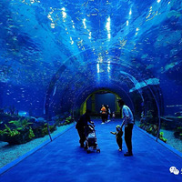 4��5���Ϻ���������԰һ�����ؼ�