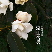 �����ͻ�ͼʾ����ʱ����С�������ʲô��