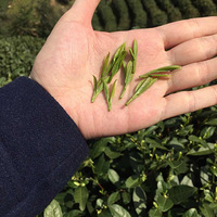 һ����������Ĳ裬ֵ������ȥƷ��