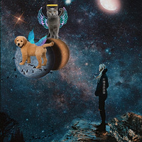 ҲΪǡȥ׷˼