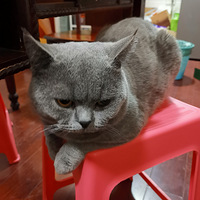 С쵰ϱ