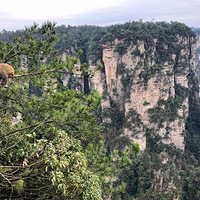 �żҽ羰������ָ����ϸ���ԡ��żҽ�������ȫ����