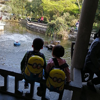 ����pose��������