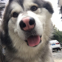붵