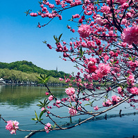 С�������һ�������