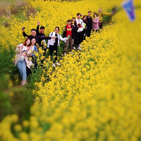 ������н���Ⱥ