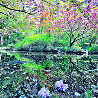 ������ȽϿգ��������У������س����գ����������ԡ�