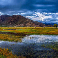 ���������У�����ר��+�����Ƕ�+��֥+���+����������