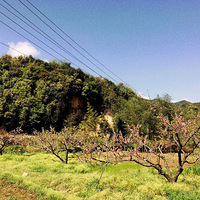 һ��֮�����ڴ� �µ���ɲ���Ҫ����