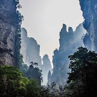 2019���żҽ羰������ָ����ϸ����--�żҽ簢��