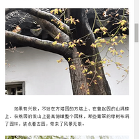 2019.04.11������ѿ�����조԰�������̽�أ�