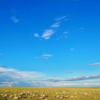 ���º��ױ����������������ս��ͬ�м�������㴩Խ��ԭ���