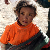 ���ﱱ���Լ��ι��ԣ��������ߣ����ﱱ��ƴ�������ι��ԣ�