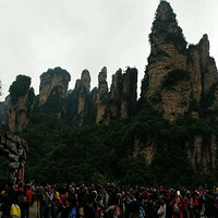 �żҽ�ɭ�ֹ�԰~����ɽ~��˹ų����������·���ƴ�