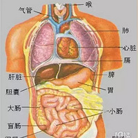 ��кʧ�߳�ʲô���ã���������ù���˵�ã���ͼ�����ࣩ|�����