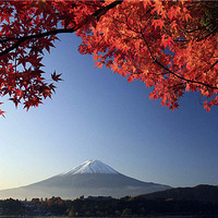 �߿�û���ã�������ѧ���Ȿ�ƴ�ѧ�Ƽ�