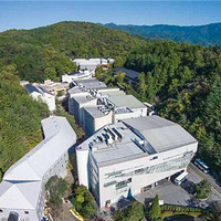 ��ҵ��н20W+�������ձ���ѧ��Щ����רҵ��ҵ�����������