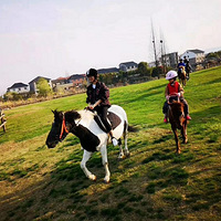 ��2019�꡿��侺��ǿ�Ӫ�أ���侺�����