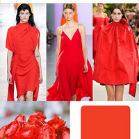 ��������ϰ�ҡ���2019��in����ɫ�������ϣ�����������۵��У�