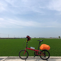 ����С�ۻ�̨�壨2019.3.28--4.6 ������