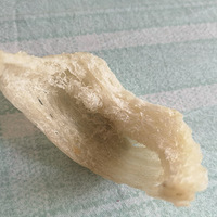 ���λ�����æ�������������ô����