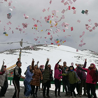 ��һԼ�鴨�� ����AA