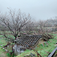 ��һԼ�����������ס�ĵط���ӣ��û��ϵ�Բ������ұ���Ե�