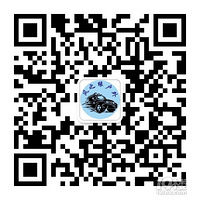 �����Ƕ���ɫ�+����+���+��ľ��+�ɿ�����+����aaԼ�鴿��