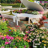 ���ݻ�����һȦ���Ա���԰ʢ��������еĸ��п��㣡