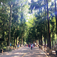 ��С���ɾ����Ŵ���辰�����ҵ��żҽ���֮��