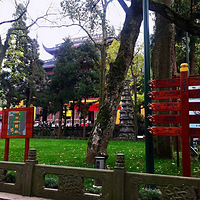 �����£�����