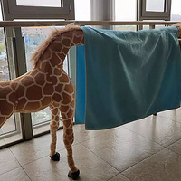 ǧ��Ҫ�������򳤾�¹������Ȼ......��������������