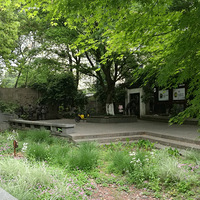 ��̤����Ρ�+΢��ϸ�����ͷ