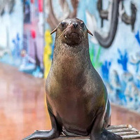 ���£����������׽�ٲ�ԭ�Ҹ���