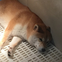 ꡿죬ȥỌ̇