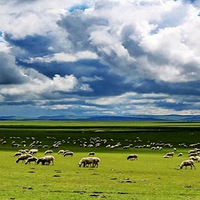 2019ȥ���ױ�����ԭ��һ��ʡǮʡ�ĵ����ι��ԣ��ղر��ðɣ�